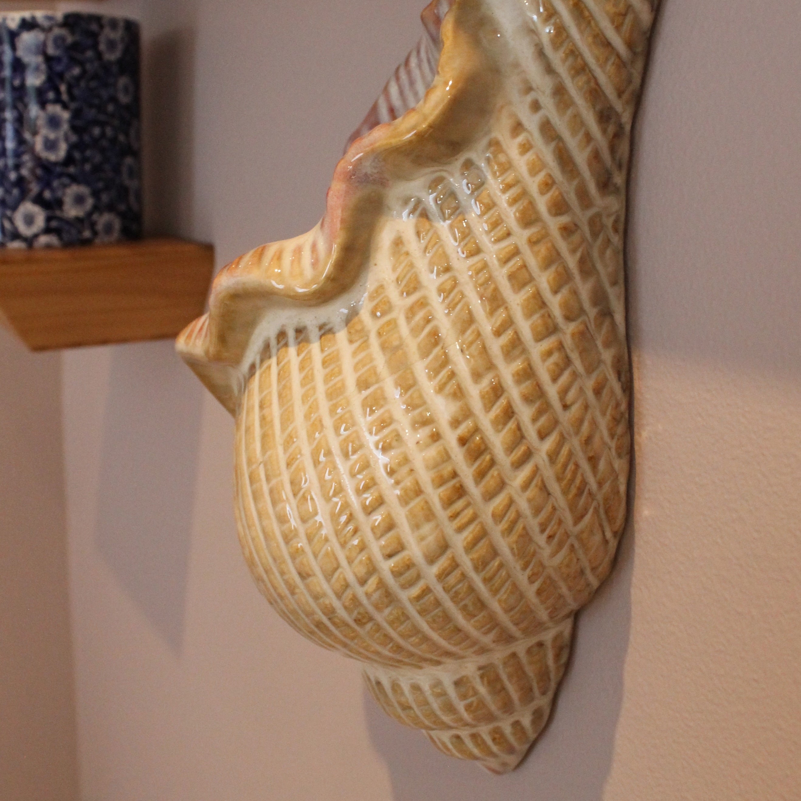 Seashell Wall Pocket