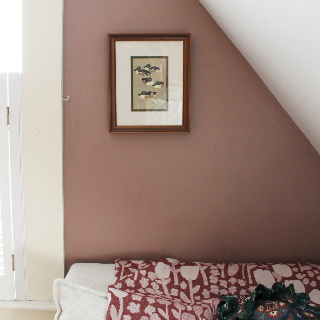 Matted & Framed Duck Print