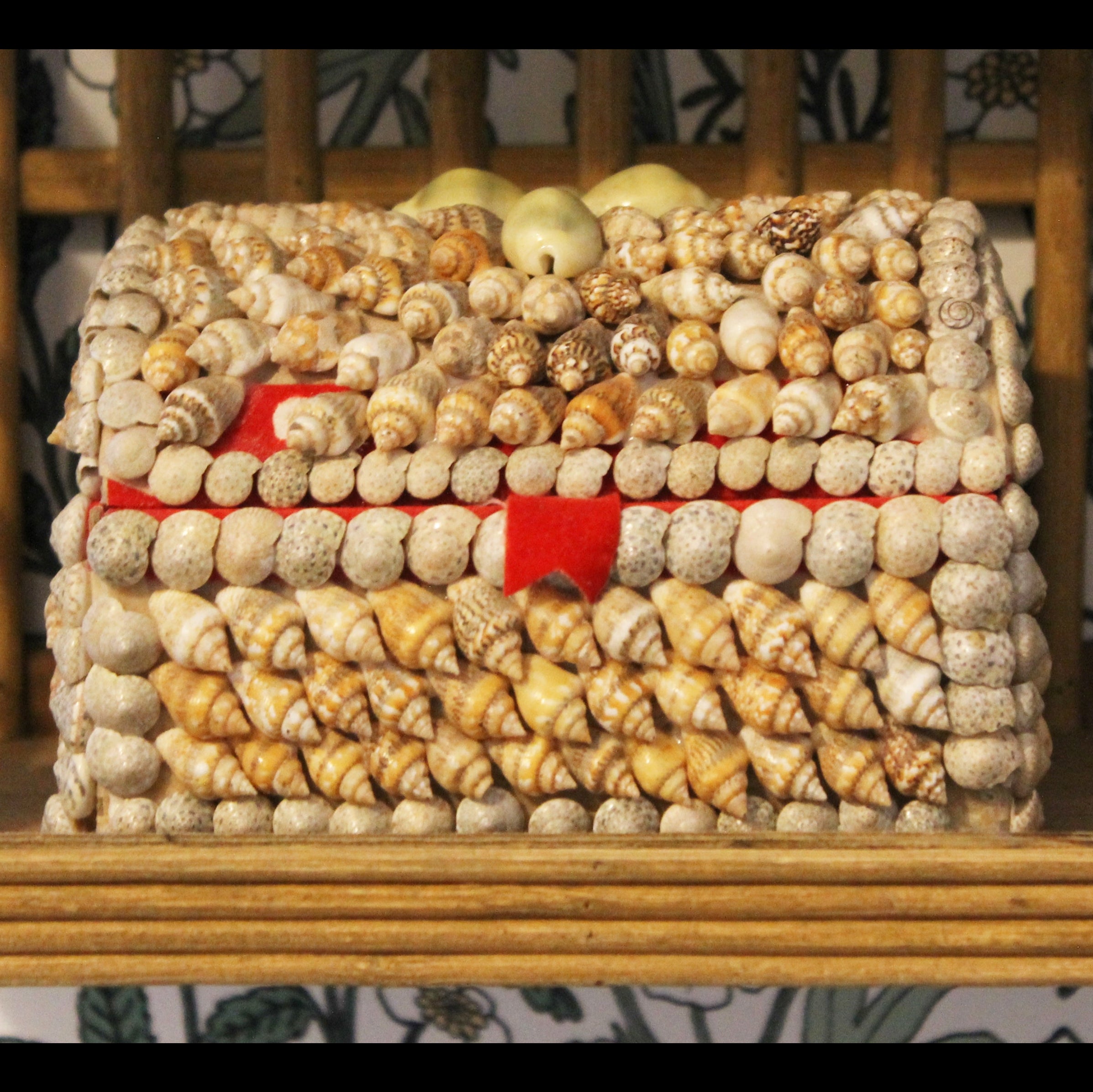 Seashell Trinket Box