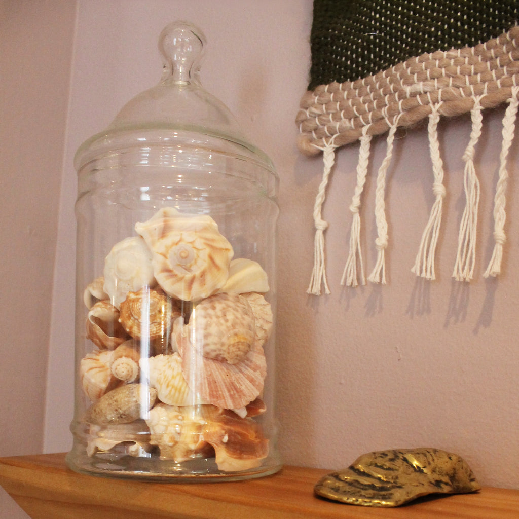 Glass Jar of Seashells