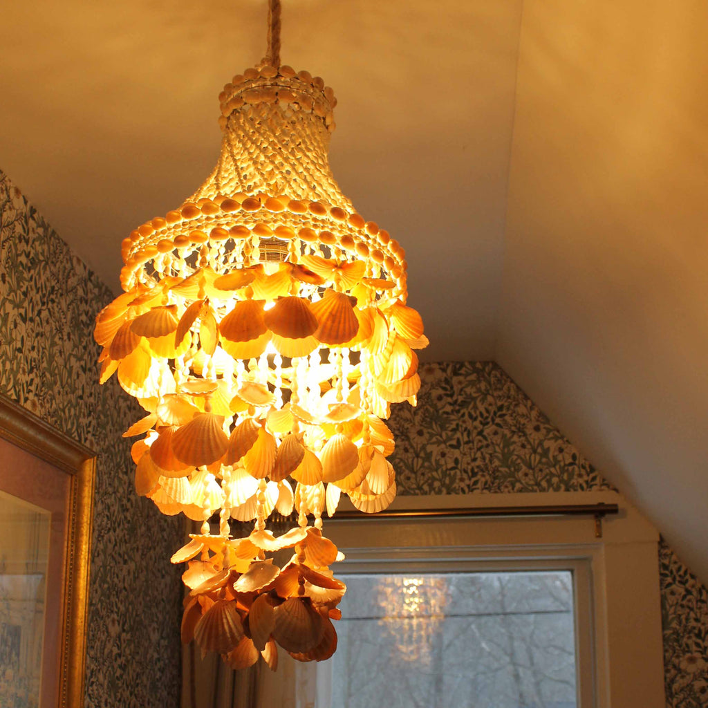 Seashell Chandelier