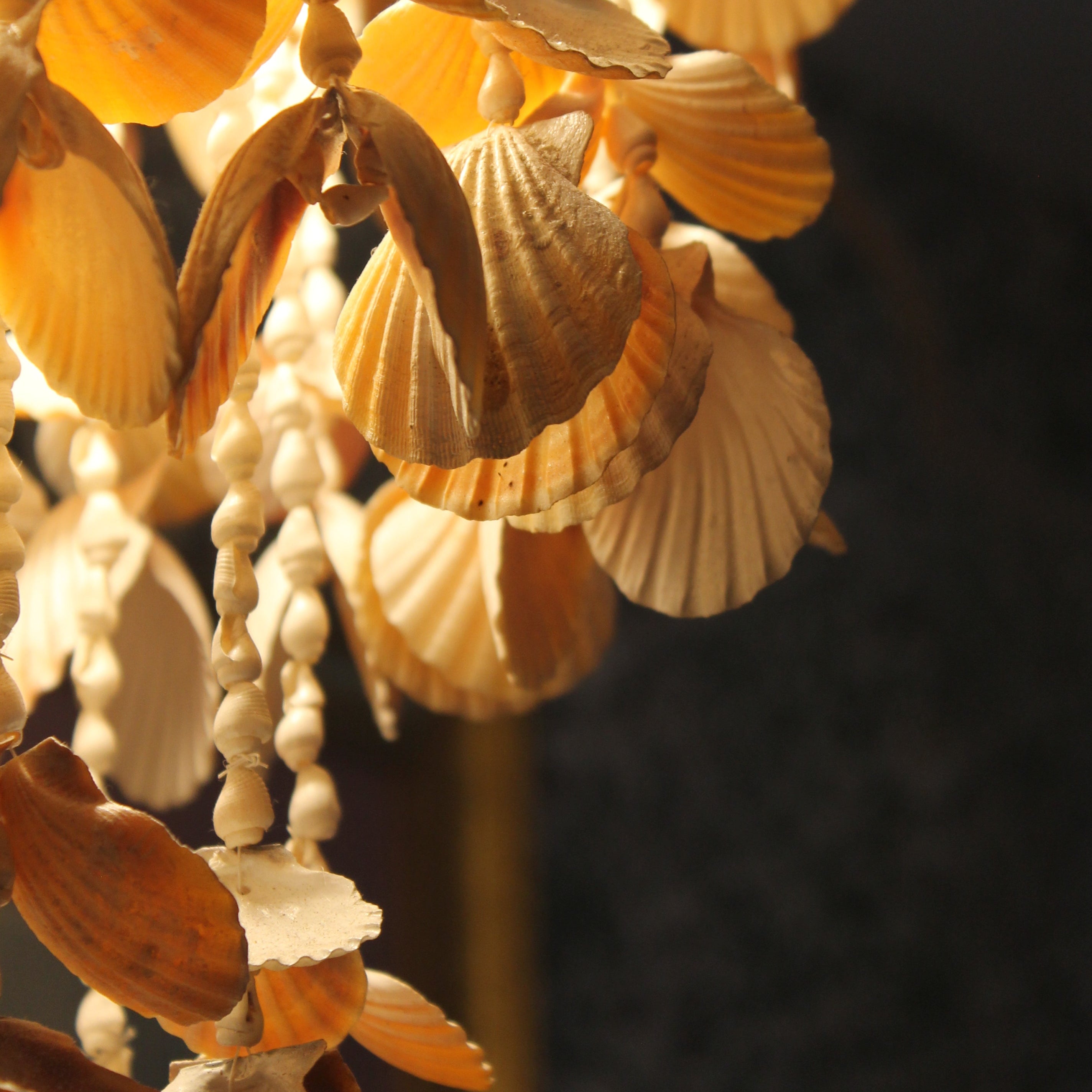 Seashell Chandelier