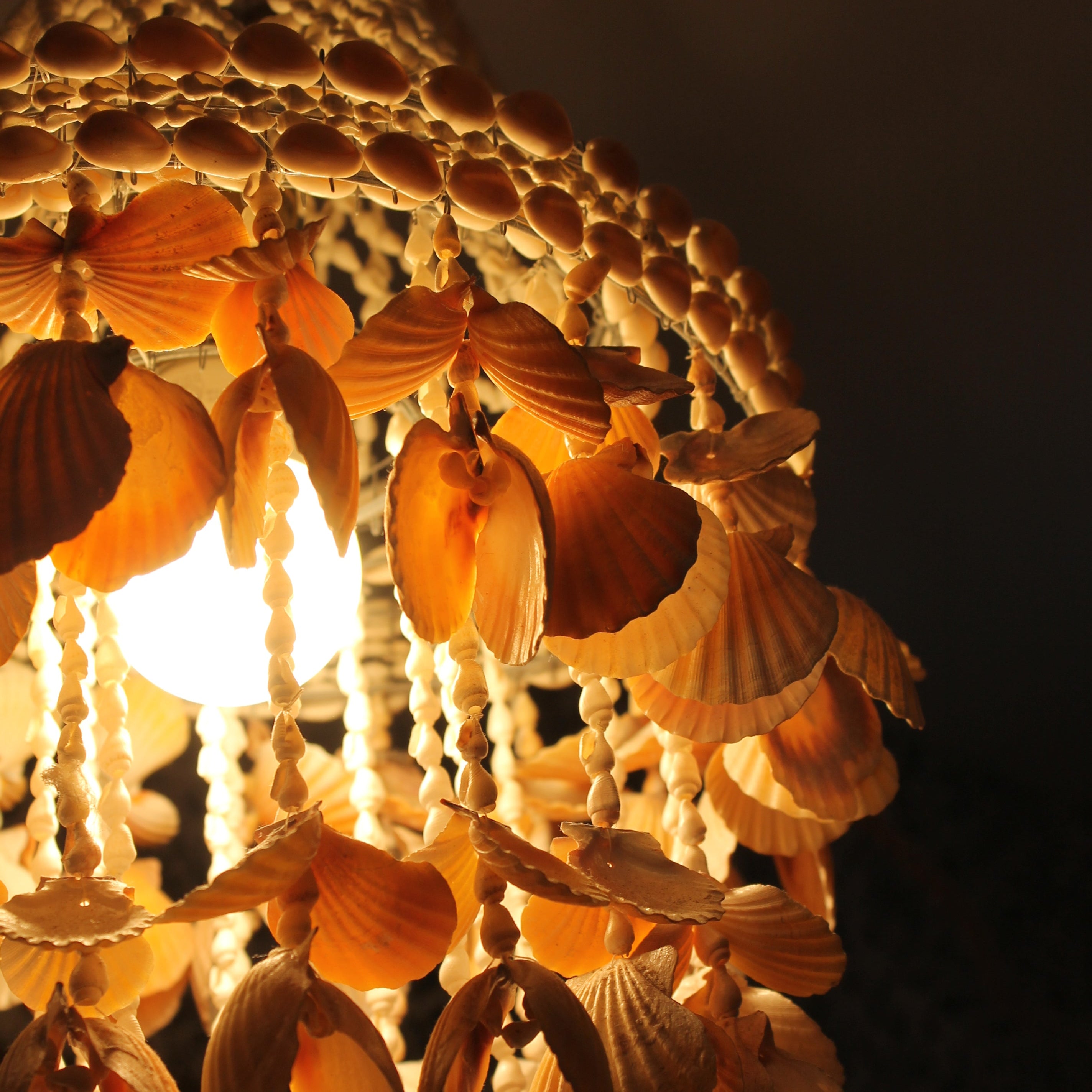 Seashell Chandelier