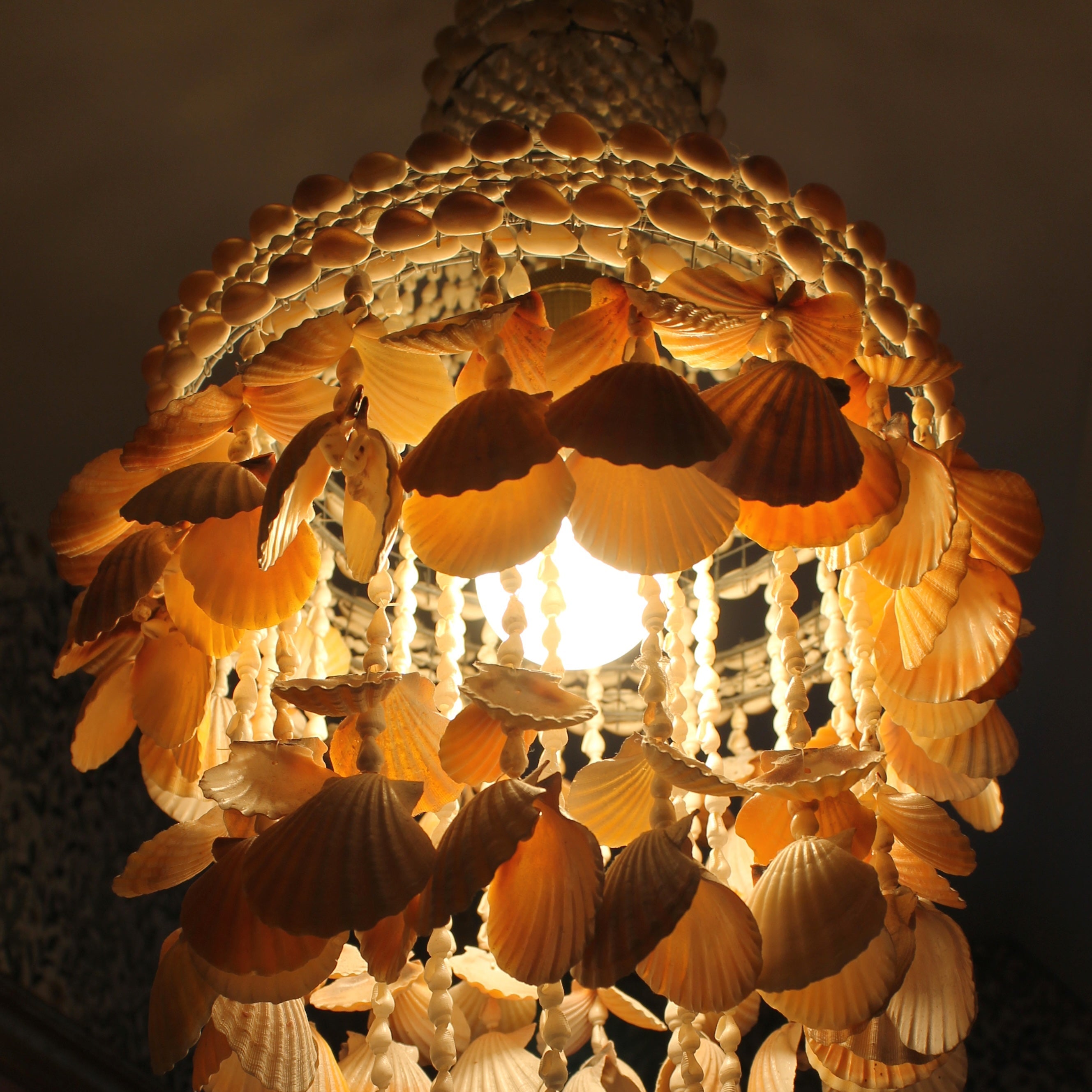 Seashell Chandelier