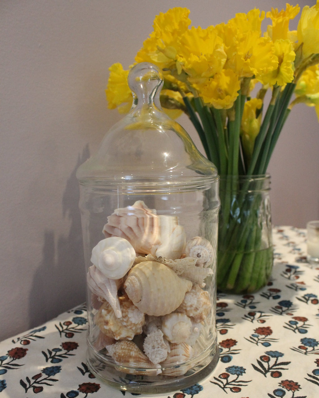 Glass Jar of Seashells